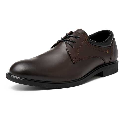 Туфли мужские Alessio Nesca M6208025 коричневые 40 RU в Центр Обувь