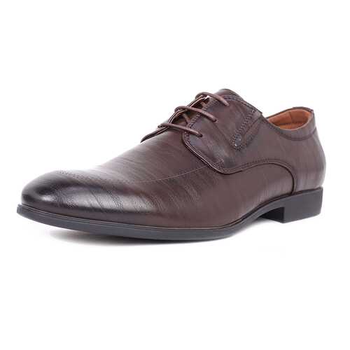 Туфли мужские T.Taccardi 03406360 коричневые 42 RU в Центр Обувь